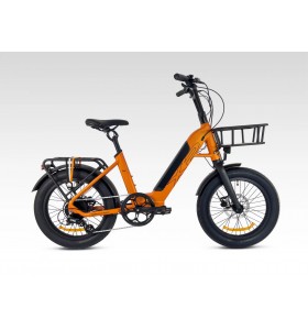 E-Fat Bike/Pieghevole