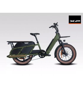 E-Bike Cargo