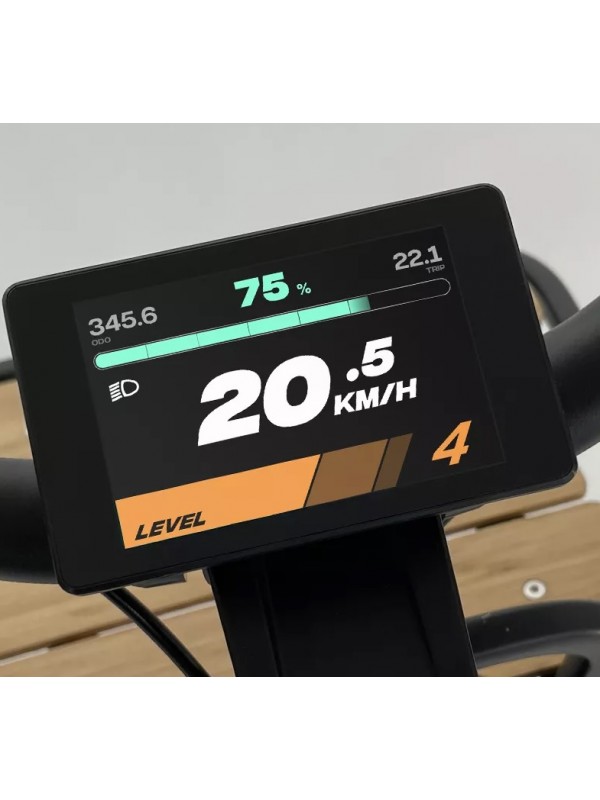 E-Bike Cargo 20" XP X-LOAD 7v 48V 960Wh